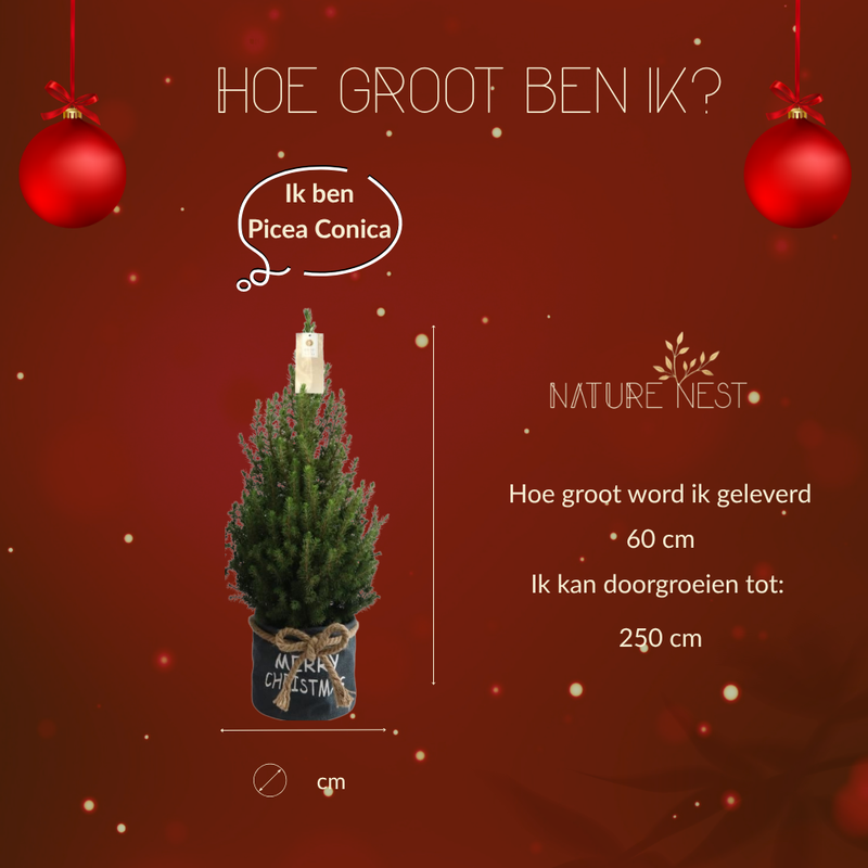 Kerstboom in Xmas Bag blauw | 19 cm Ø | 60 cm ↕