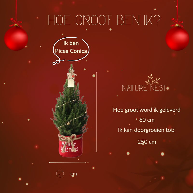 Kerstboom met verlichting 'Starlight' in Xmas Bag rood | 19 cm Ø | 60 cm ↕