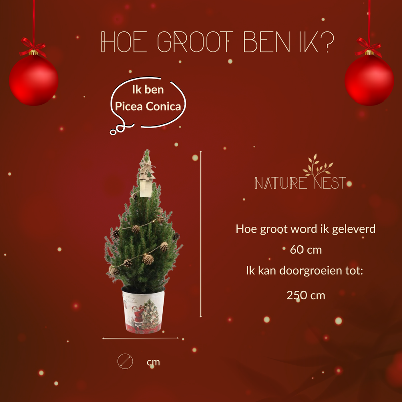 Kerstboom met verlichting 'Pineconelight' in Kerstman pot | 19 cm Ø | 60 cm ↕