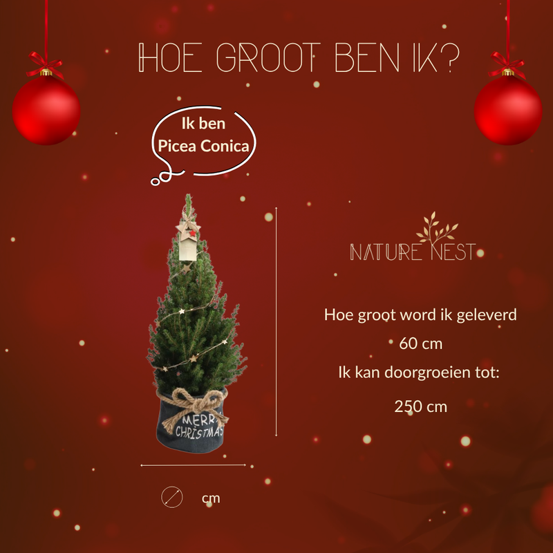 Kerstboom met verlichting 'Starlight' in Xmas Bag blauw | 19 cm Ø | 60 cm ↕