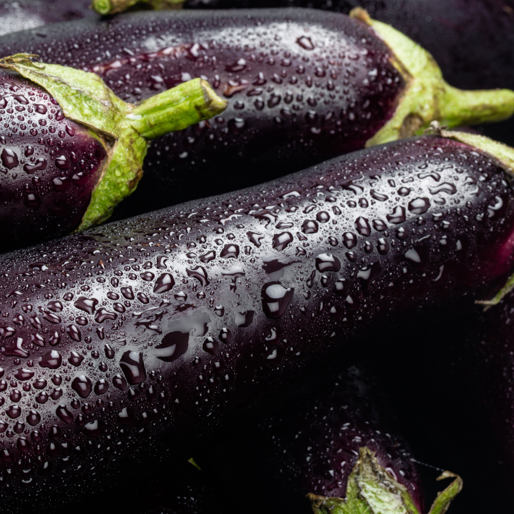 1 Aubergine plant Ø14 cm ↕40 cm