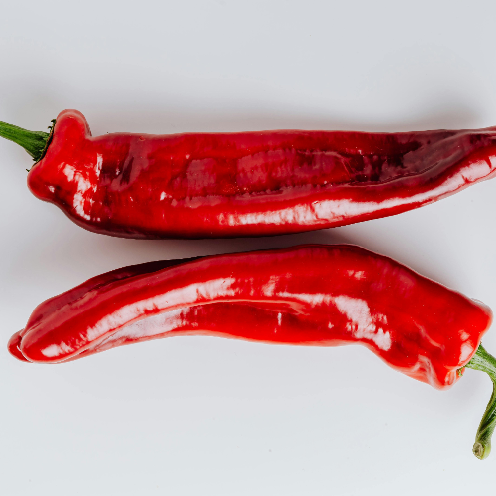 1 Mild chili plant Ø14 cm ↕40 cm