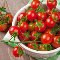 1 Cherrytomaat plant Ø14 cm ↕40 cm