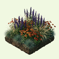 NatureNest Border Package Amber | Sunny Border with Perennials &amp; Ornamental Grasses