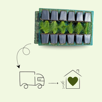 3 Ooievaarsbek Planten ‘Geranium Rozanne’ Ø9 cm ↕15 cm