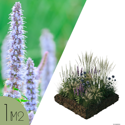 NatureNest Borderpakket Isa