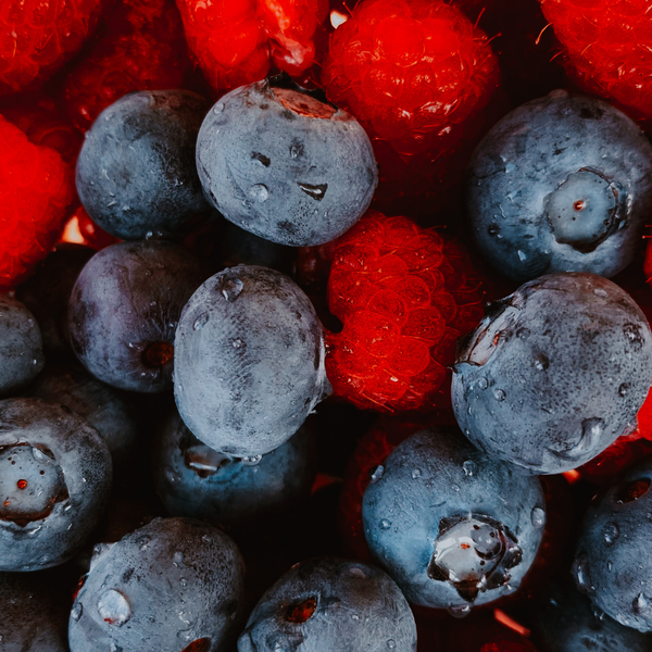 Bio Fruitplanten Mix 'Vruchten Oase' (5 stuks)