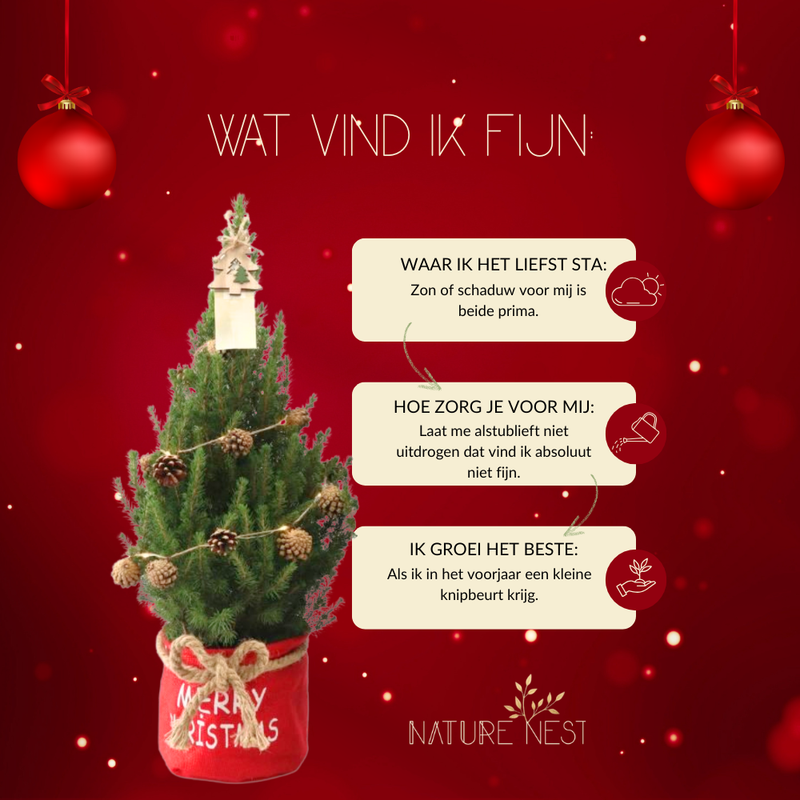 Kerstboom met verlichting 'Pineconelight' in Xmas Bag rood | 19 cm Ø | 60 cm ↕