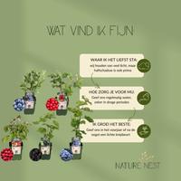 Bio Fruitplanten Mix 'Vruchten Oase' (5 stuks)