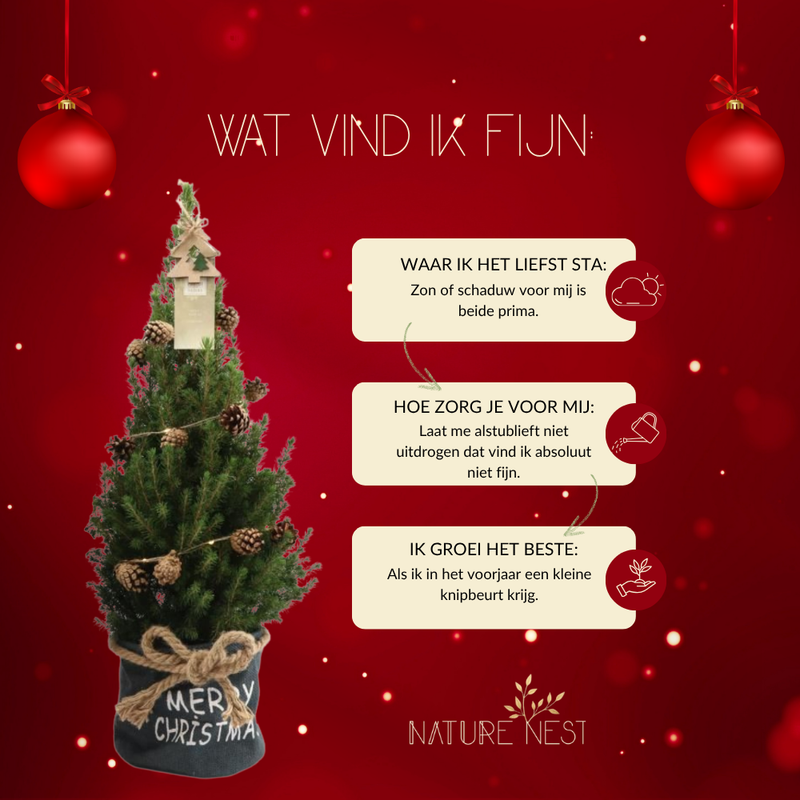 Kerstboom met verlichting 'Pineconelight' in Xmas Bag blauw | 19 cm Ø | 60 cm ↕