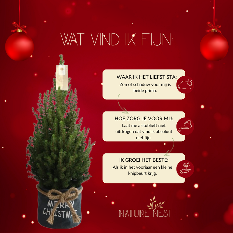 Kerstboom in Xmas Bag blauw | 19 cm Ø | 60 cm ↕