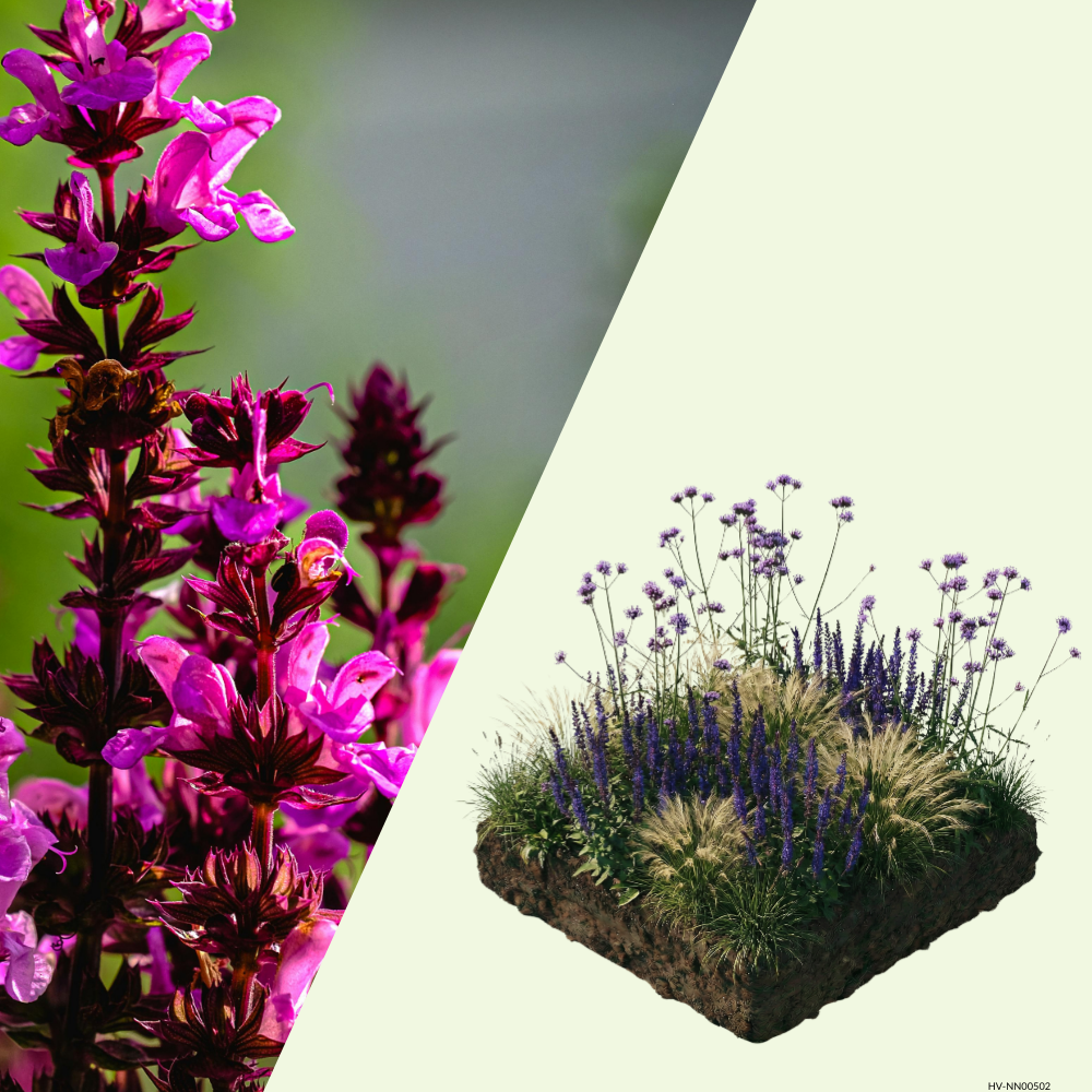 NatureNest Border Package Felice