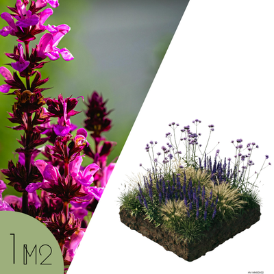 NatureNest Borderpakket Felice