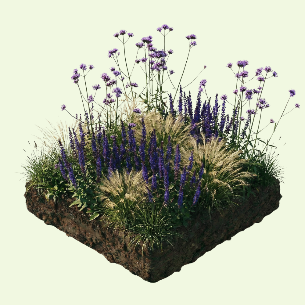 NatureNest Border Package Felice