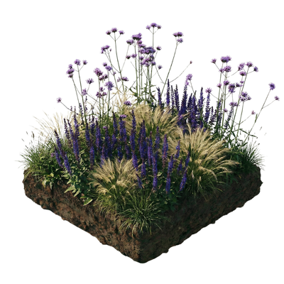 NatureNest Borderpakket Felice