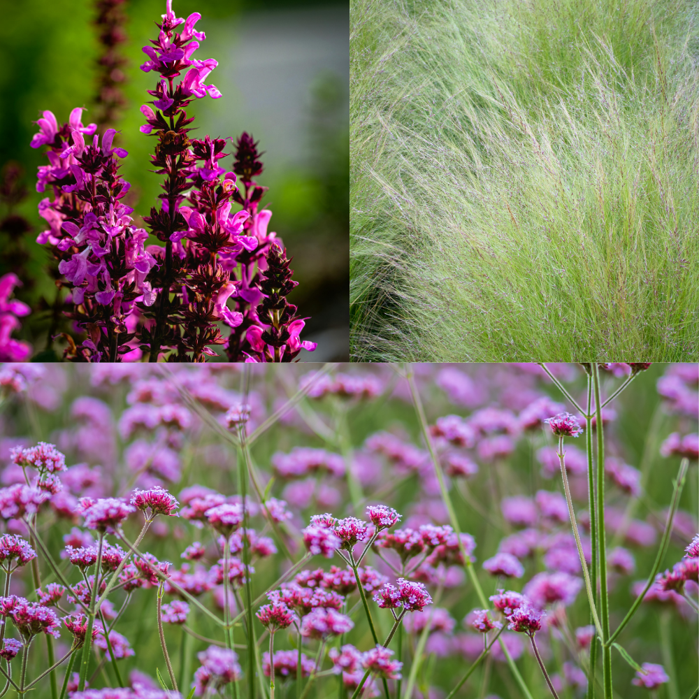 NatureNest Border Package Felice