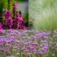 NatureNest Border Package Felice