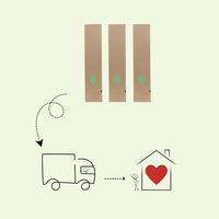 3 Brombeerpflanzen | 100 % Bio-Obstpflanzen | Brombeeren | Gartenpflanzen 