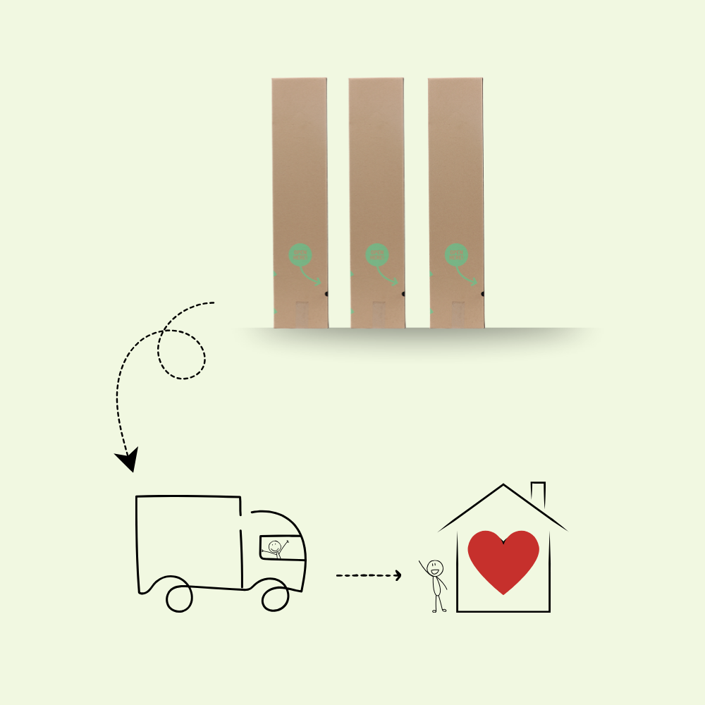 3 Fig Tree Plants | 100% Organic Fruit Plants | Hardy Fig Trees