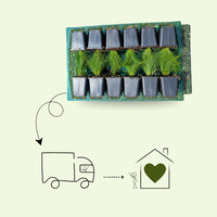 NatureNest Border Package Rosie