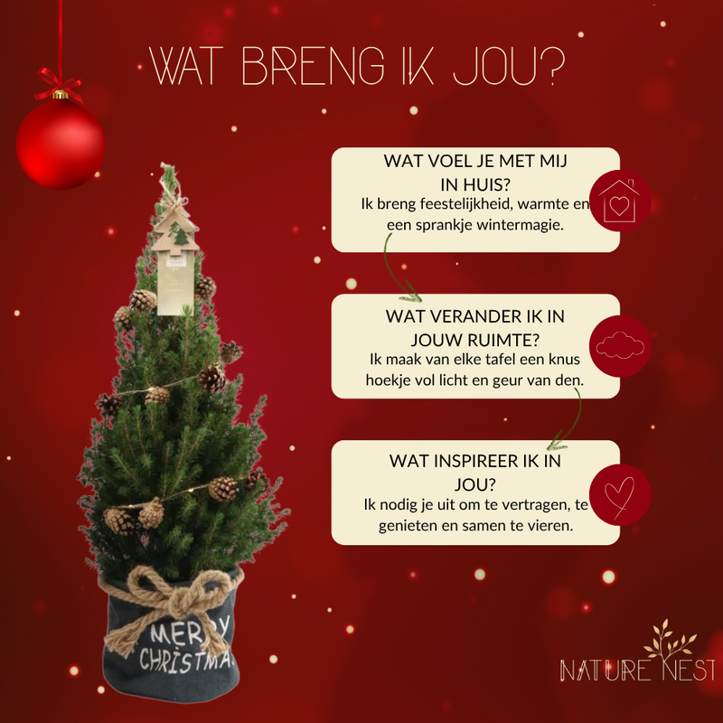 Kerstboom met verlichting 'Pineconelight' in Xmas Bag blauw | 19 cm Ø | 60 cm ↕