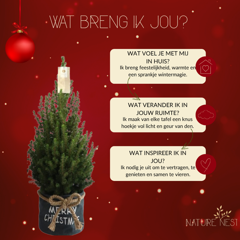 Kerstboom in Xmas Bag blauw | 19 cm Ø | 60 cm ↕