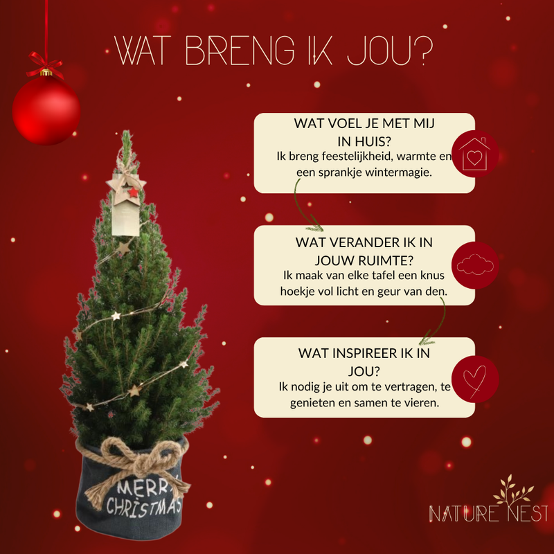 Kerstboom met verlichting 'Starlight' in Xmas Bag blauw | 19 cm Ø | 60 cm ↕