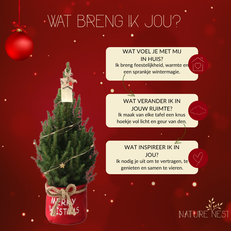 Kerstboom met verlichting 'Starlight' in Xmas Bag rood | 19 cm Ø | 60 cm ↕