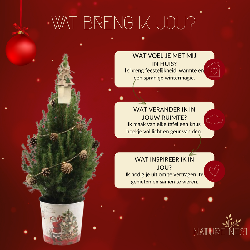 Kerstboom met verlichting 'Pineconelight' in Kerstman pot | 19 cm Ø | 60 cm ↕