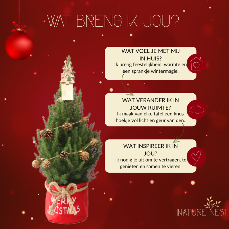 Kerstboom met verlichting 'Pineconelight' in Xmas Bag rood | 19 cm Ø | 60 cm ↕