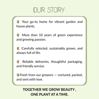 "Sweet Harvest Trio" Organic Fruit Plant Mix Set of 3 Different Varieties | 100% Organically Grown