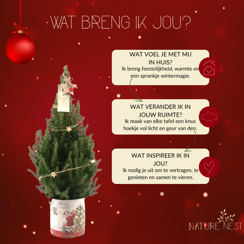 Kerstboom met verlichting 'Starlight' in Kerstman pot | 19 cm Ø | 60 cm ↕