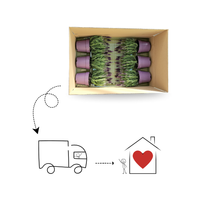 Set of 3 Mountain Tea Plants | 3x Gaultheria procumbens Big Berry Ø 12 cm ↕ 20 cm