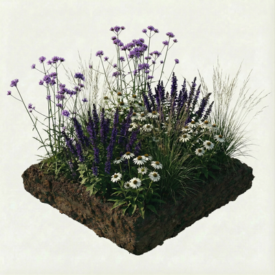 NatureNest Borderpakket Joy