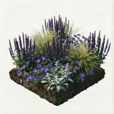 NatureNest Borderpakket Lila