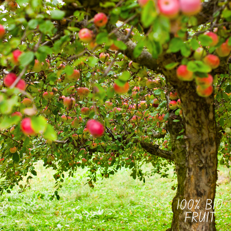 Bio appelboom