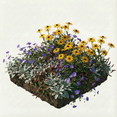 NatureNest Borderpakket Rosie