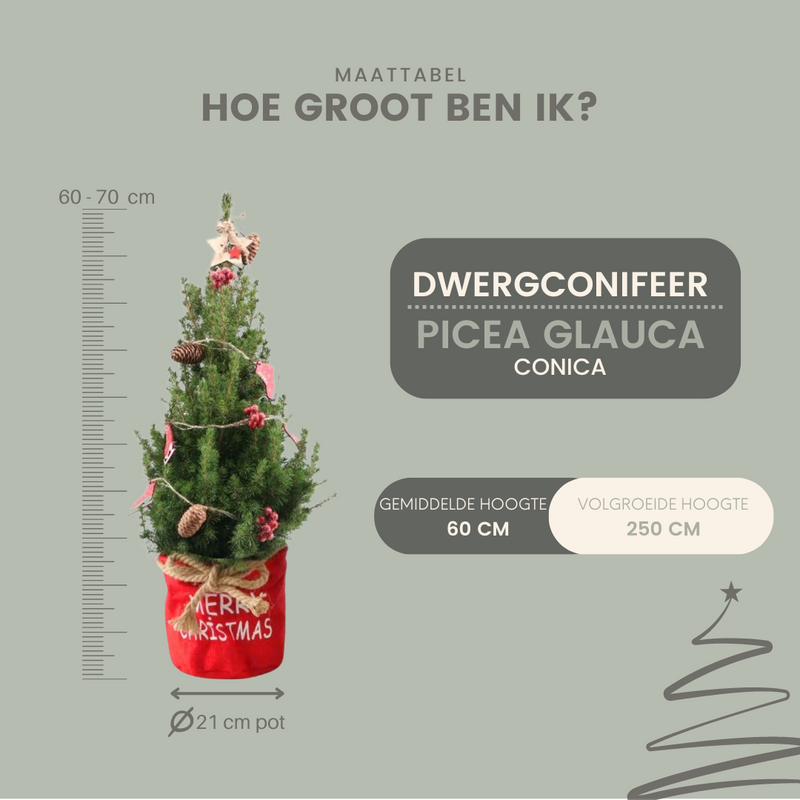 Árvore de Natal Picea Conica com iluminação Winterlight-Skate em Xmas Bag Red