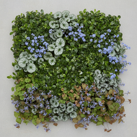 Schaduw Bloemenborder Set van 12, 24, 48, 60 of 120 planten