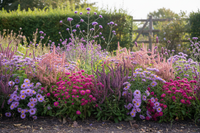 Wilde Natuurborder set van 12, 24, 48, 60 of 120 planten