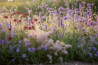 Wilde Natuurborder set van 12, 24, 48, 60 of 120 planten