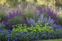 Onkruidremmende Bloemborder