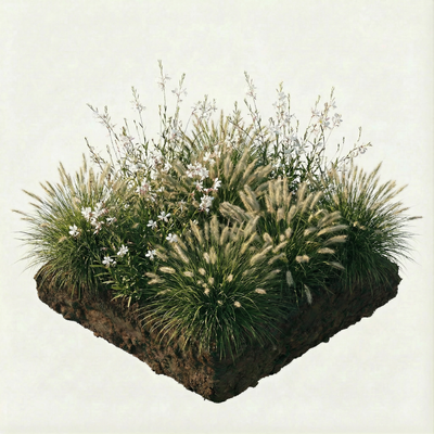 NatureNest Borderpakket Luna