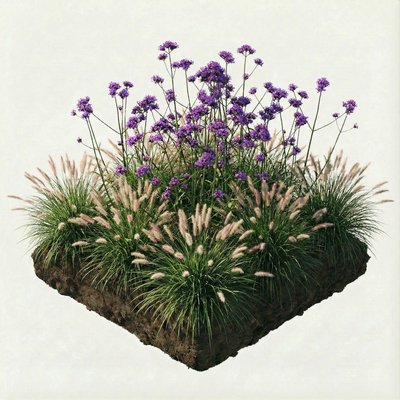 NatureNest Borderpakket Stella