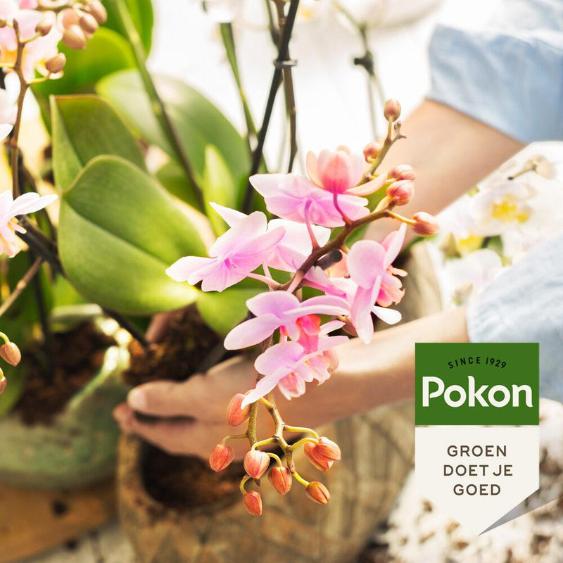 Pokon bio orchidee voeding 250 ml