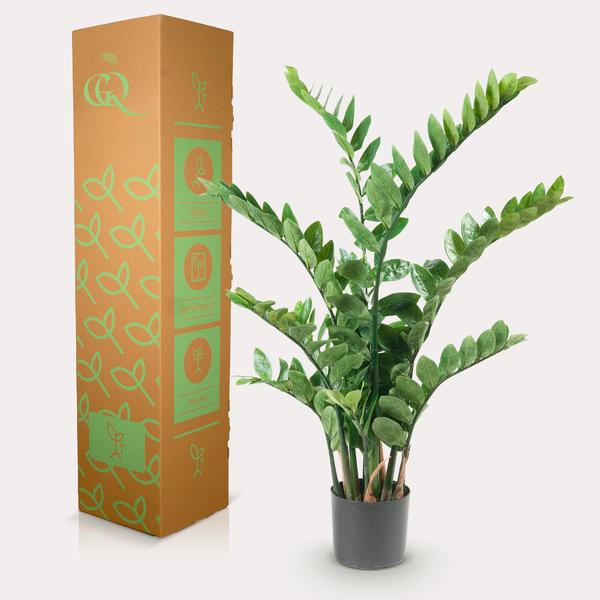 Kunstplant - Zamioculcas - Kamerpalm - 110 cm