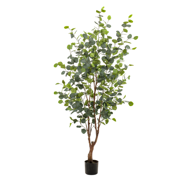 Kunstplant - Eucalyptus - Blauwe Gomboom  - 140 cm