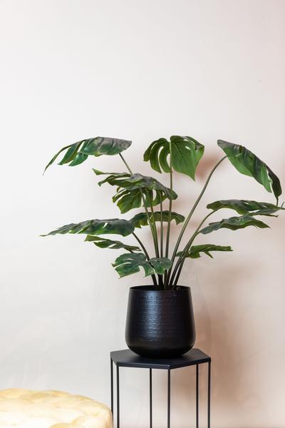 Monstera Deliciosa - kunstplant - 80 cm