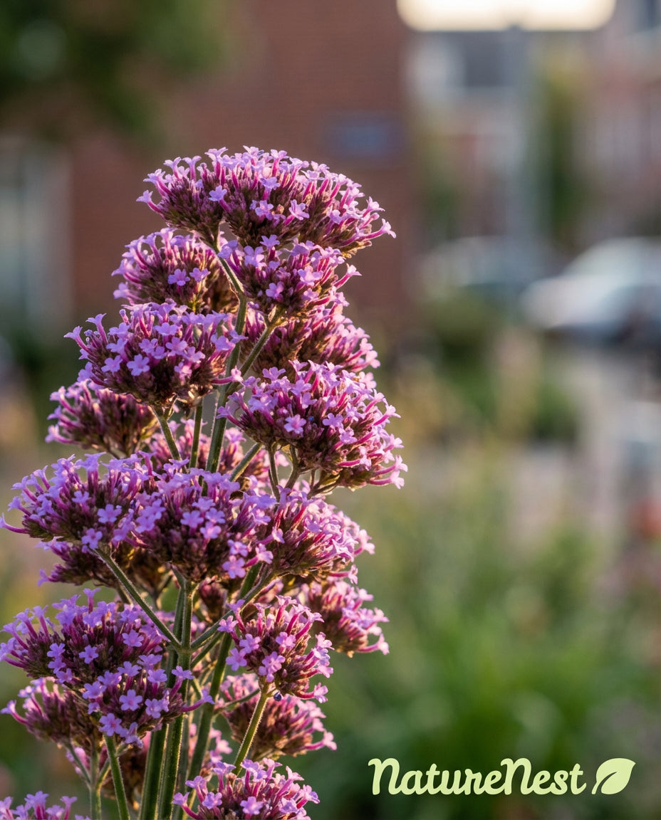 Plant customer photo